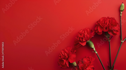 red carnations on side of pastel red colored background with copy space 