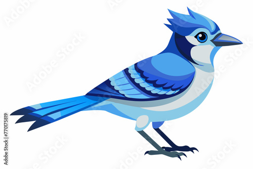 Blue jay vector with white background.