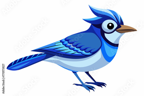 Blue jay vector with white background.