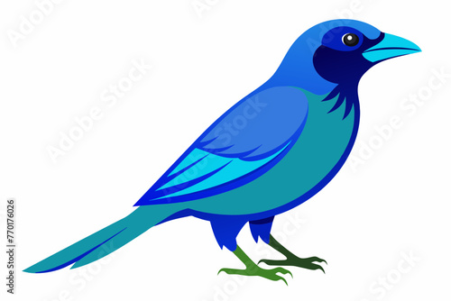 Blue-throated barbet silhouette vector design. © mk graphics