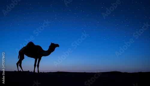 In the quiet of the desert night  a camel s silhouette stands out against a starry sky