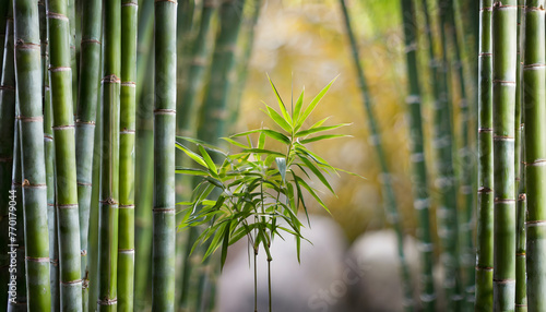 Bamboo Grove Zen Garden background. Generative AI.