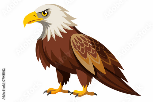 eagle-vector-with-white-background.