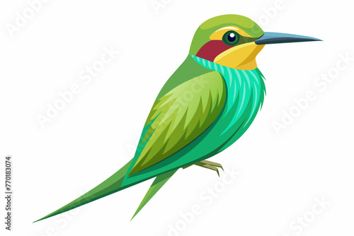 Green bee-eater vector with white background. © mk graphics
