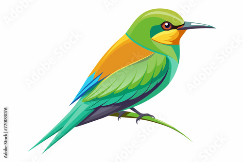 Green bee-eater vector with white background. © mk graphics