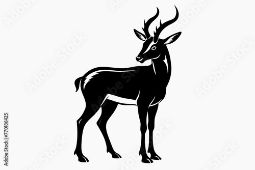 Pronghorn vector with white background. photo