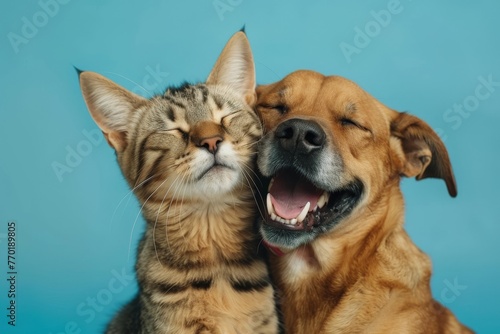 Happy Dog and Cat on blue background, animals love each other