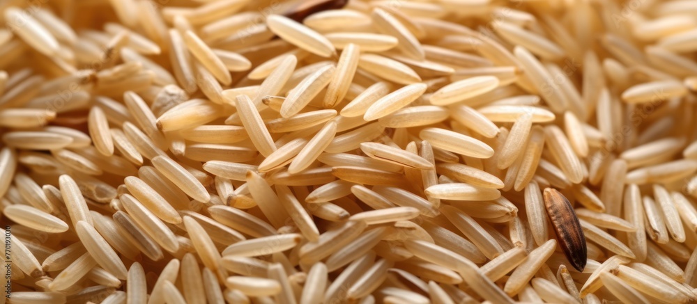 rice background rice background