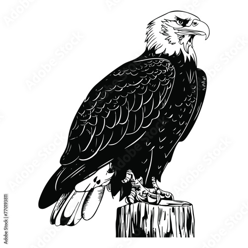 birds black and white vector illustration silhouette