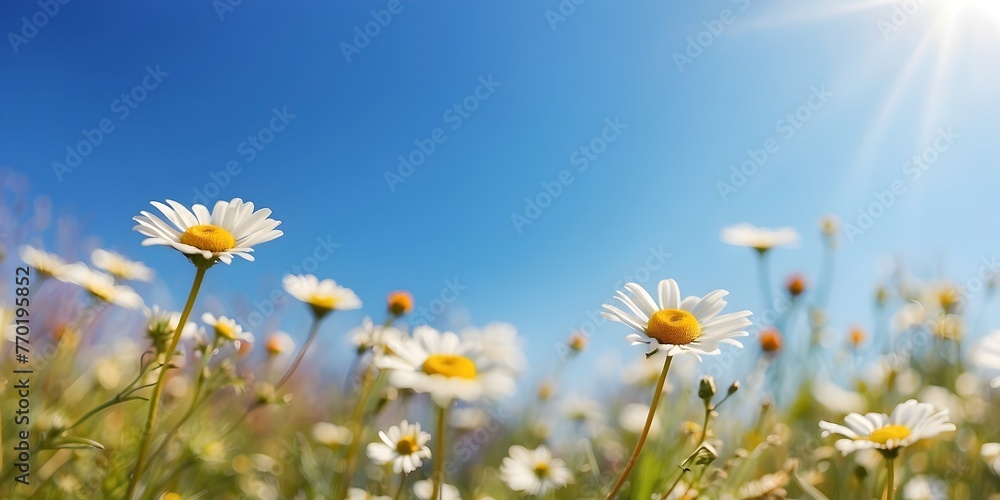 A vivid spring meadow bathed in sunlight, dotted with cheerful daisies against a clear blue sky, portrayed in a panoramic blur, generative AI A vivid spring meadow bathed in sunlight, dotted with cheerful daisies against a clear blue sky, portrayed in a panoramic blur, generative AI