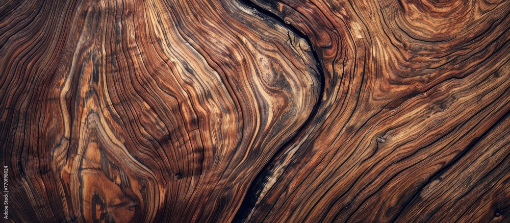 Natural Wooden Texture and Surface Background. Natural Wooden Texture and Surface Background.
