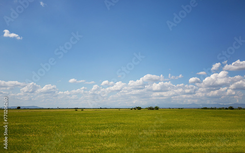 Bright landscape with the field, blue sky and clouds