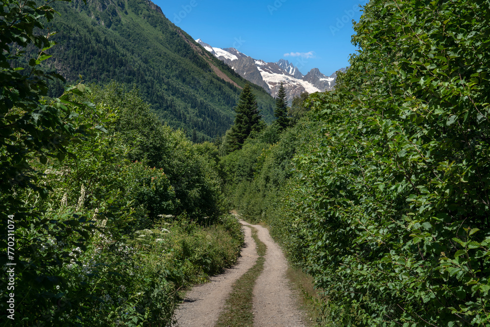Fototapeta premium View of the Dombay-Ulgen gorge in the mountains of the North Caucasus and the trail to the Chuchkhur waterfall near the village of Dombay on a sunny summer day, Karachay-Cherkessia, Russia