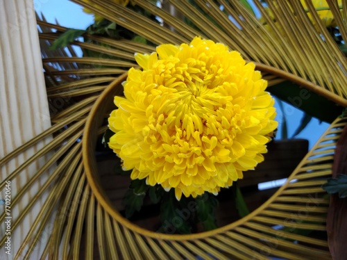 Exhibition of various kinds of flower arrangements at the Hong Kong Flower Show 2024. photo