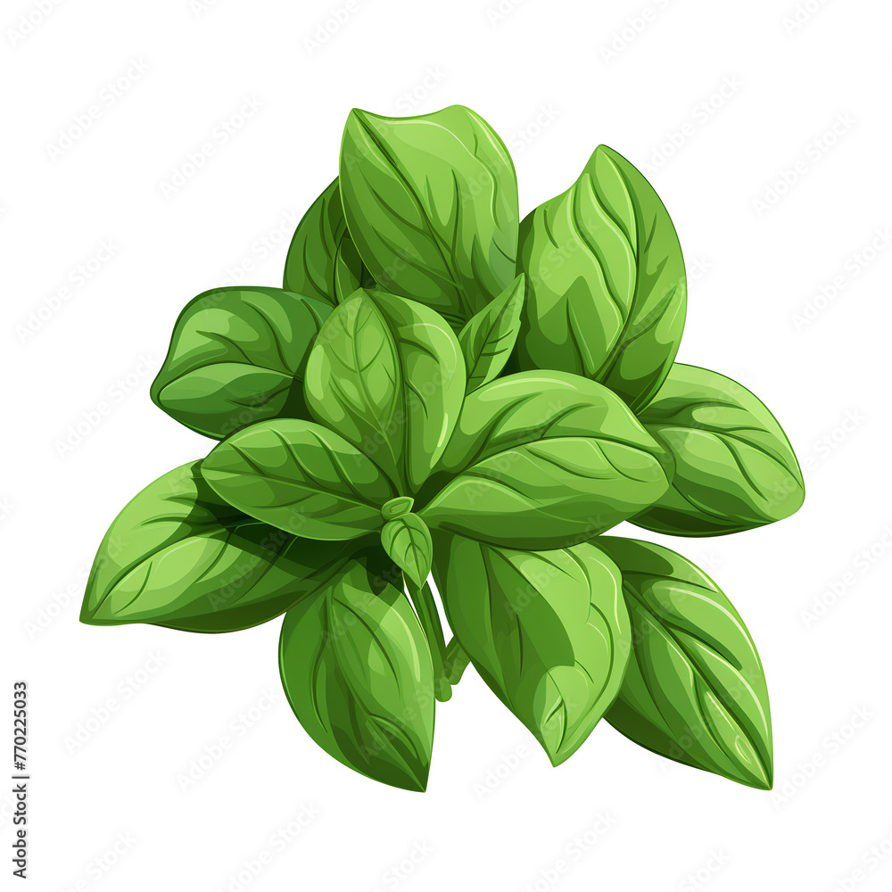 Basil, icon, cartoon style, transparent background white background no background Basil, icon, cartoon style, transparent background white background no background