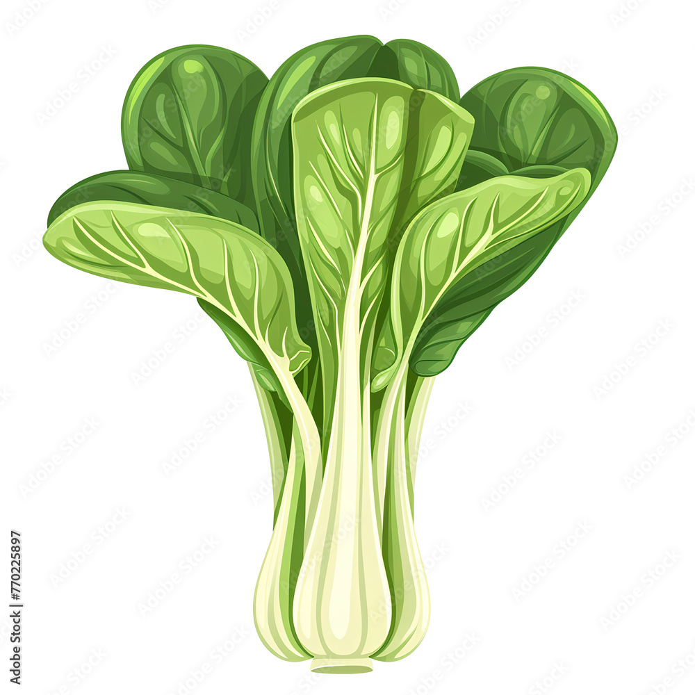 Bok choy, icon, cartoon style, transparent background white background no background Bok choy, icon, cartoon style, transparent background white background no background