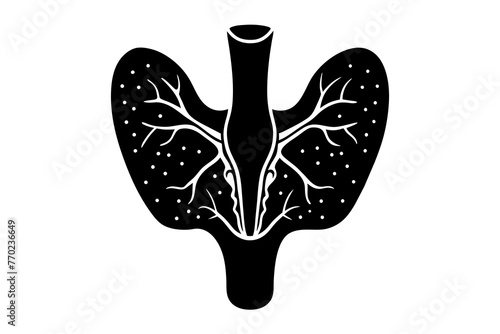 thymus silhouette vector illustration