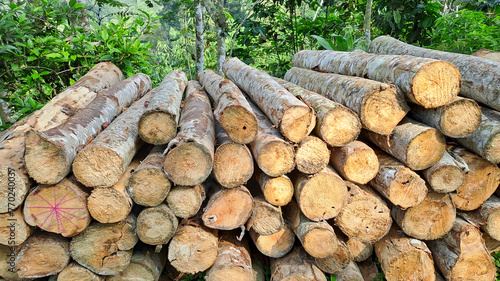 pile of natural wooden logs	
