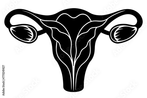 ovaries in females silhouette vector illustration