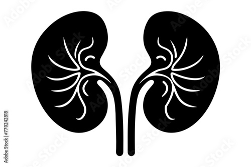 kidney silhouette vector illustration