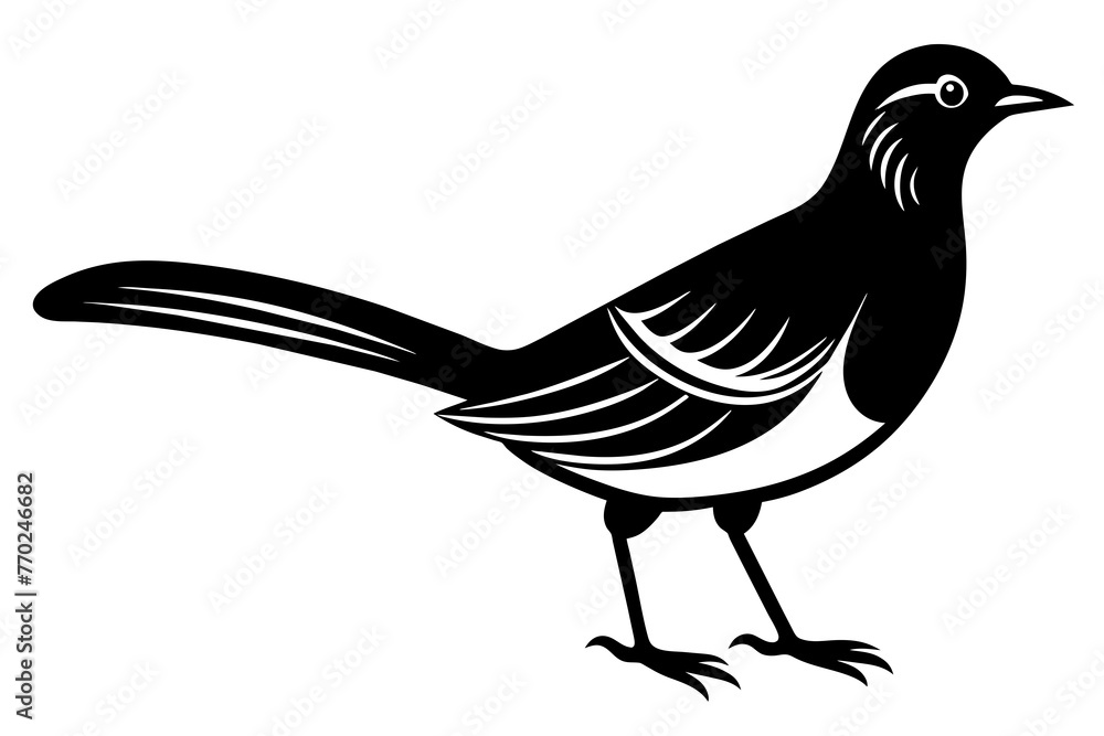 whiskers bird silhouette vector illustration whiskers bird silhouette vector illustration