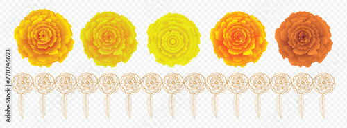Toran marigold, Traditional indian, marigold, durga puja, Vector marigold, decoration, flower, ganapati. diwali. karwa choth. dasara onam indian festivals on. transparent, background PNG, 