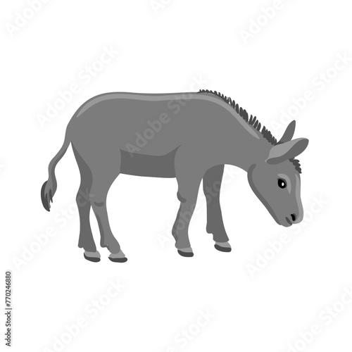 vector drawing grey donkey  farm animal isolated at white background  hand drawn illustration