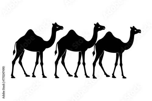 camel silhouette vector illustration