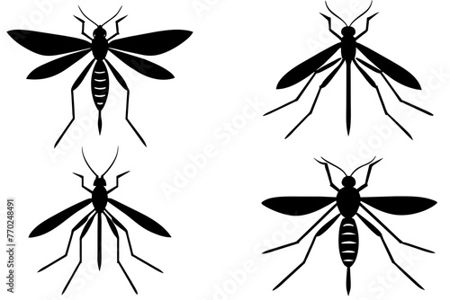 mosquito silhouette vector illustration