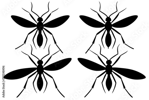 mosquito silhouette vector illustration