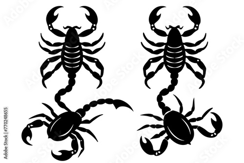 scorpion silhouette vector illustration © MDSHIJU