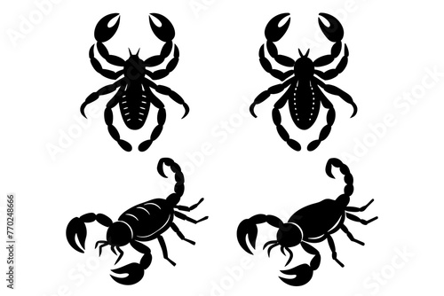 scorpion silhouette vector illustration