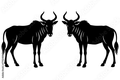 wildebeest cow silhouette vector illustration © MDSHIJU