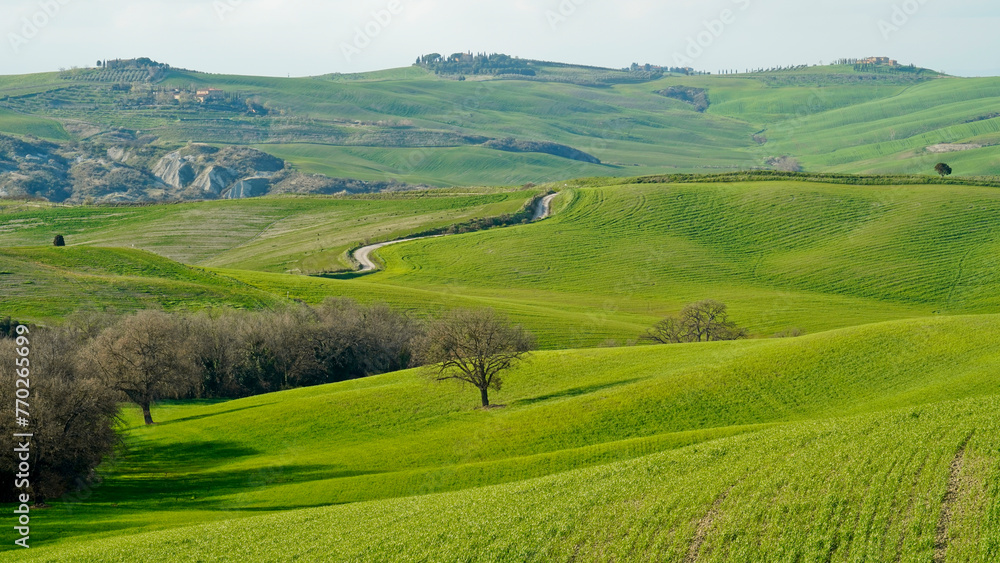 Panorama collinare della Val d'Orcia lungo il percorso ciclistico dell'Eroica. Provincia di Siena. Toscana , Italia Panorama collinare della Val d'Orcia lungo il percorso ciclistico dell'Eroica. Provincia di Siena. Toscana , Italia