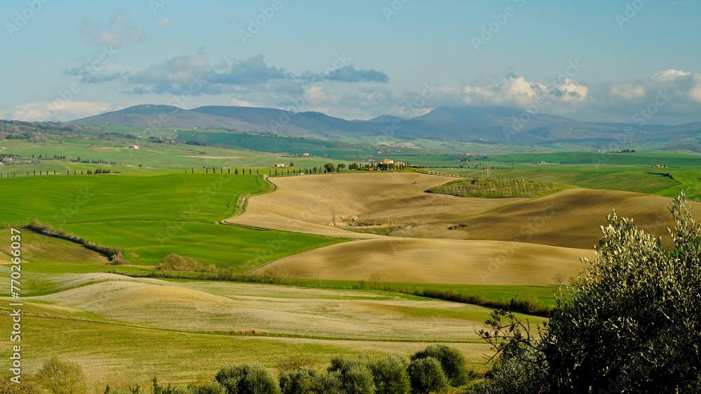  Panorama collinare della Val d'Orcia lungo il percorso ciclistico dell'Eroica. Provincia di Siena. Toscana , Italia