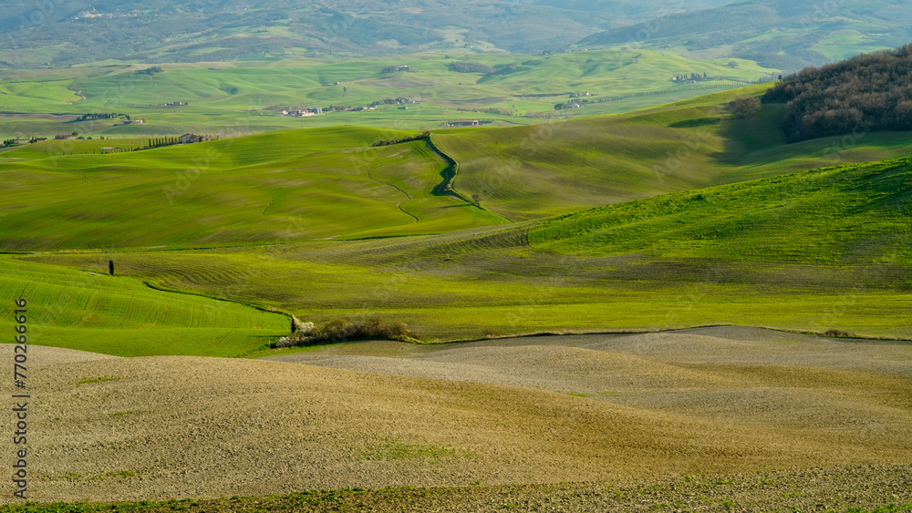 Naklejka premium Panorama collinare della Val d'Orcia lungo il percorso ciclistico dell'Eroica. Provincia di Siena. Toscana , Italia