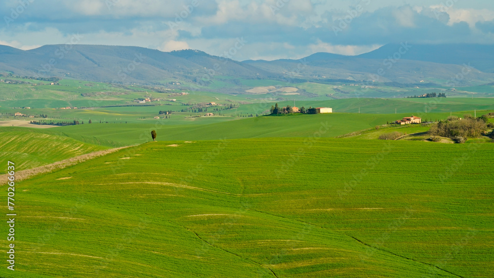 Panorama collinare della Val d'Orcia lungo il percorso ciclistico dell'Eroica. Provincia di Siena. Toscana , Italia Panorama collinare della Val d'Orcia lungo il percorso ciclistico dell'Eroica. Provincia di Siena. Toscana , Italia