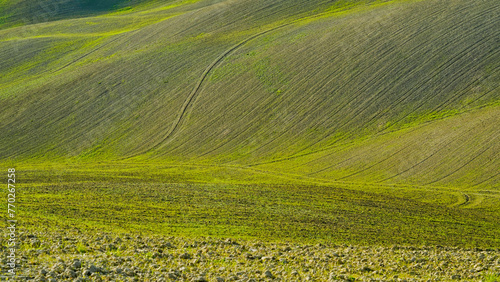  Panorama collinare della Val d'Orcia lungo il percorso ciclistico dell'Eroica. Provincia di Siena. Toscana , Italia photo