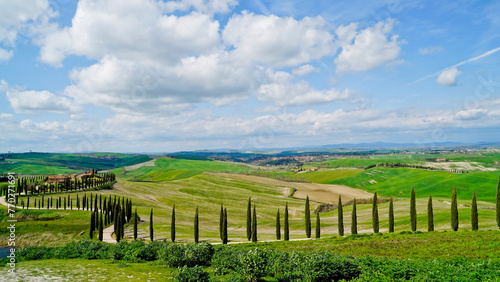 Cuadro en lienzo Panorama collinare della Val d'Orcia lungo il percorso ciclistico dell'Eroica