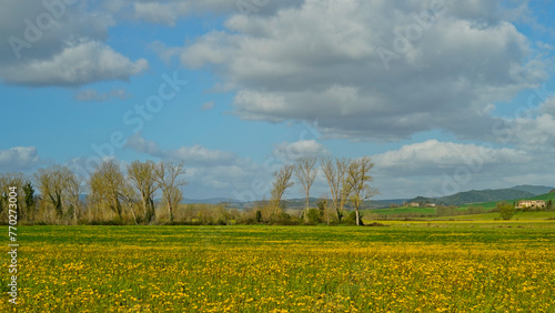 Panorama collinare della Val d'Orcia lungo il percorso ciclistico dell'Eroica. Provincia di Siena. Toscana , Italia photo