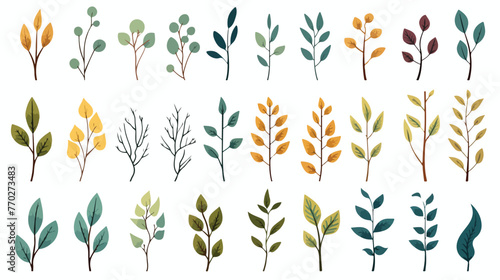 Set of branches with leaves. Vector illustration on