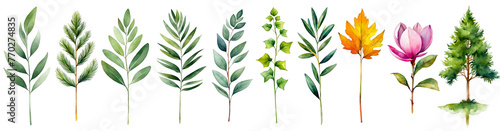 Different trees leaves, stem, botanical nature eleements for editing, wedding cards, scrapbooks, greetings cards, sage green colors, tree, flower, leaf steam set collection in 1 image, cutout #770274835