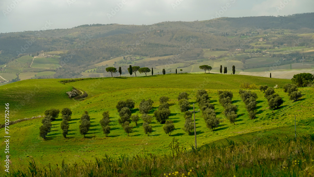 Panorama collinare della Val d'Orcia lungo il percorso ciclistico dell'Eroica. Provincia di Siena. Toscana , Italia