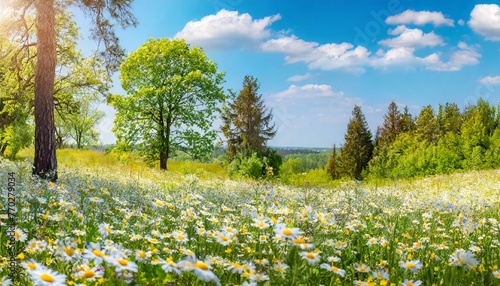 Beautiful blurred spring background nature with blooming glade chamomile, trees and blue sky on a sunny day, Ai Generate