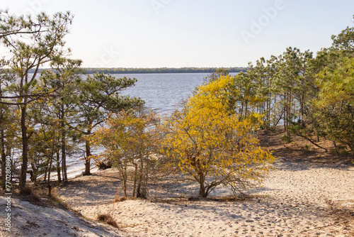 A scenic view of Sugarloaf Sand Dune on the Cape Fear River in Carolina Beach State Park, in North Carolina. 