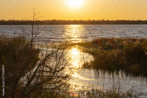 A scenic sunset view of the Cape Fear River at Carolina Beach State Park, in North Carolina. 