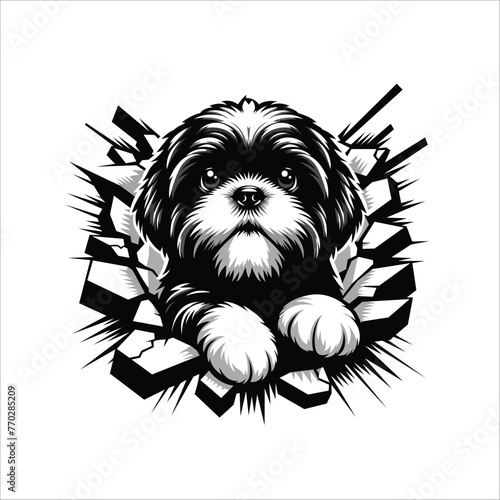 Shih Tzu Dog looking breaks through a breakthrough wall Vector
