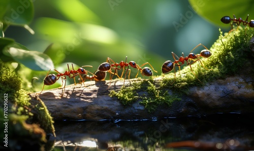 ant in the forest. 3d render concept of teamwork and teamwork