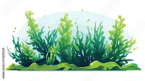 Underwater seaweed aquatic marine algae plant 