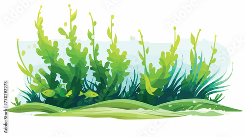 Underwater seaweed aquatic marine algae plant 
